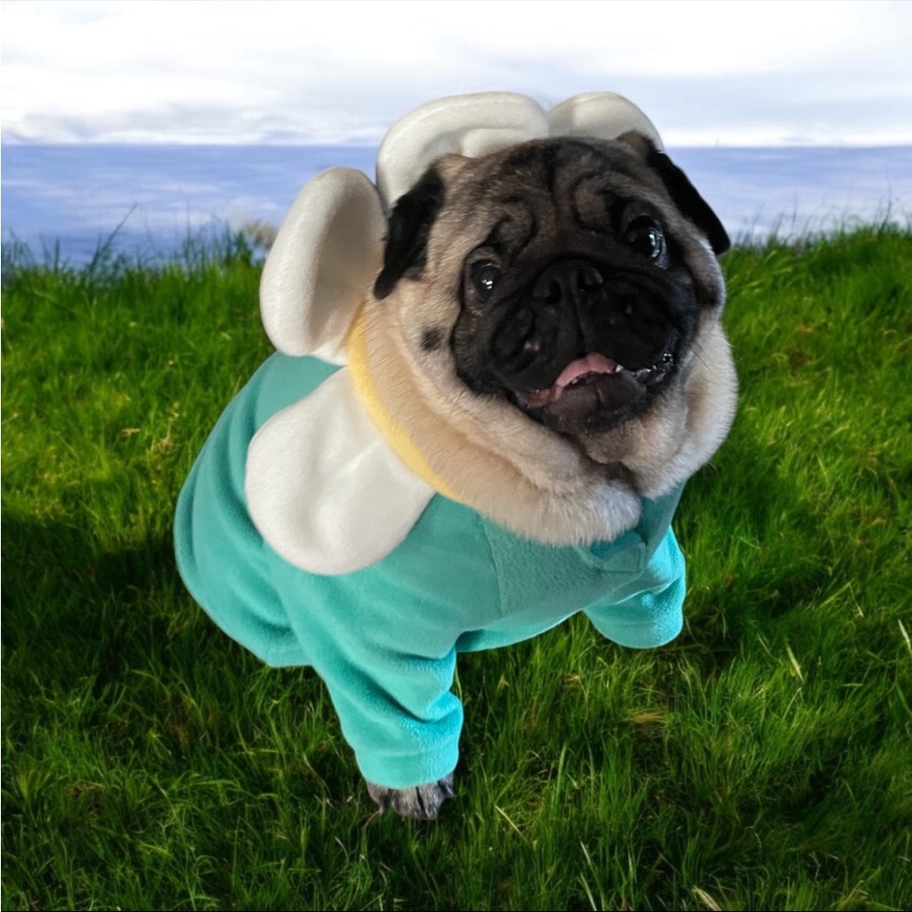 Top Paw Size L Daisy Flower Hoodie Dog Costume